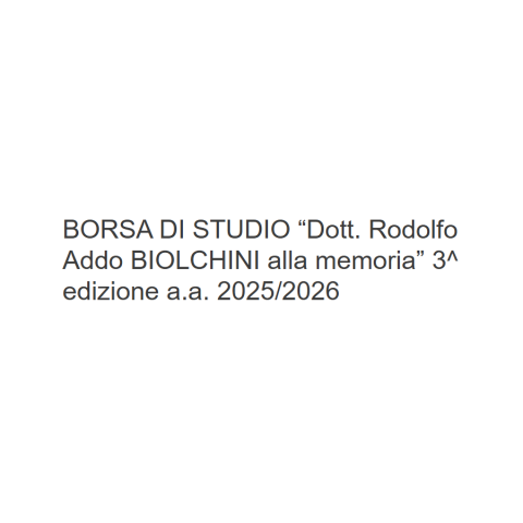 borsa studio biolchini