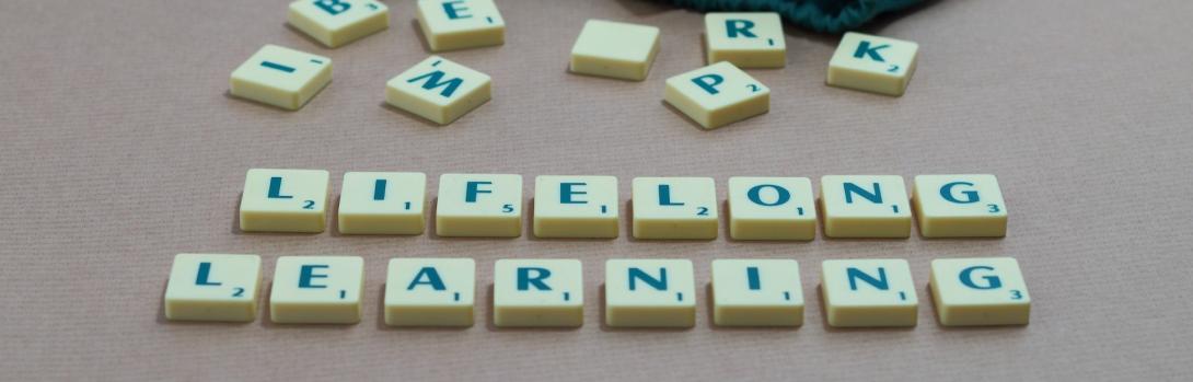 lifelong learning